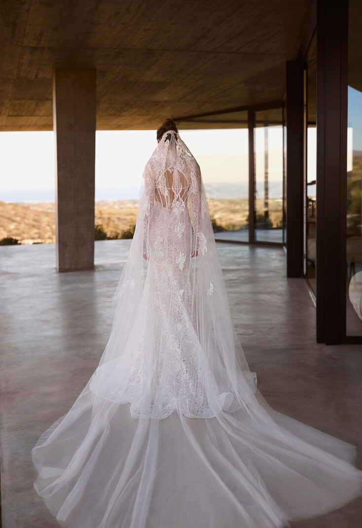 Picture Veil EN 2260 - 1