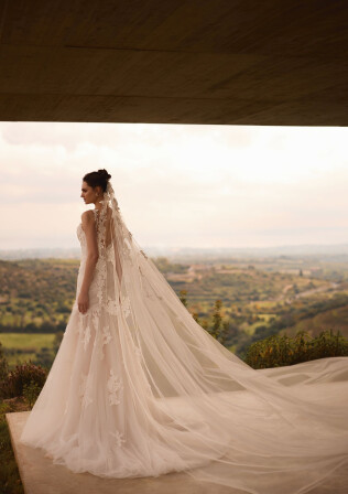 Picture Veil EN 2264 - 1