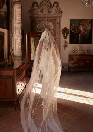 Picture Veil EN 2262 - 1