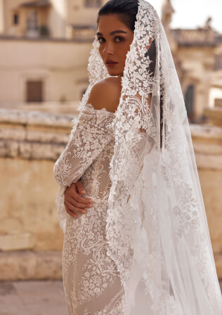 Picture Veil EN 2309 - 1