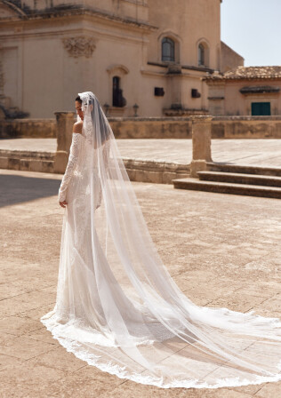 Picture Veil EN 2312 - 1