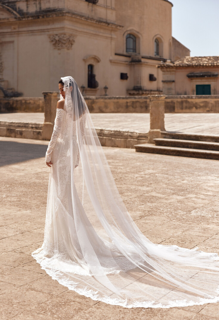 Picture Veil EN 2312 - 1