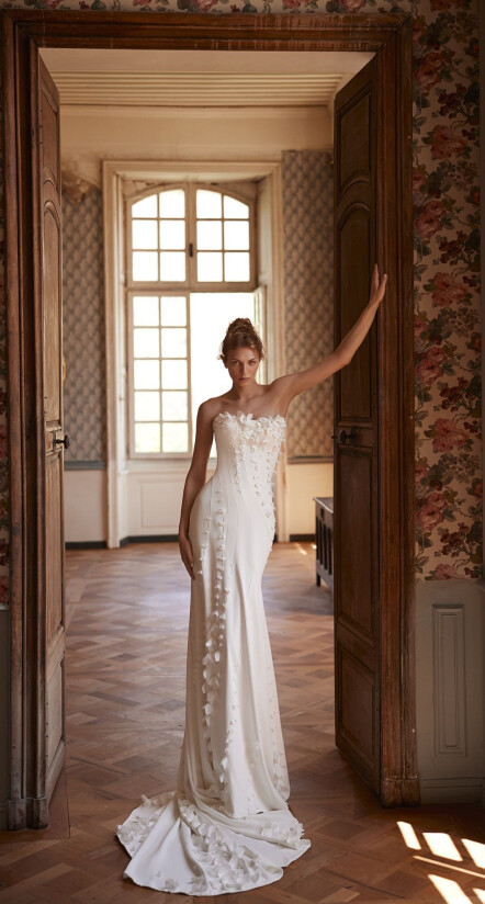 Bild Mimosa DE 2321 - 1