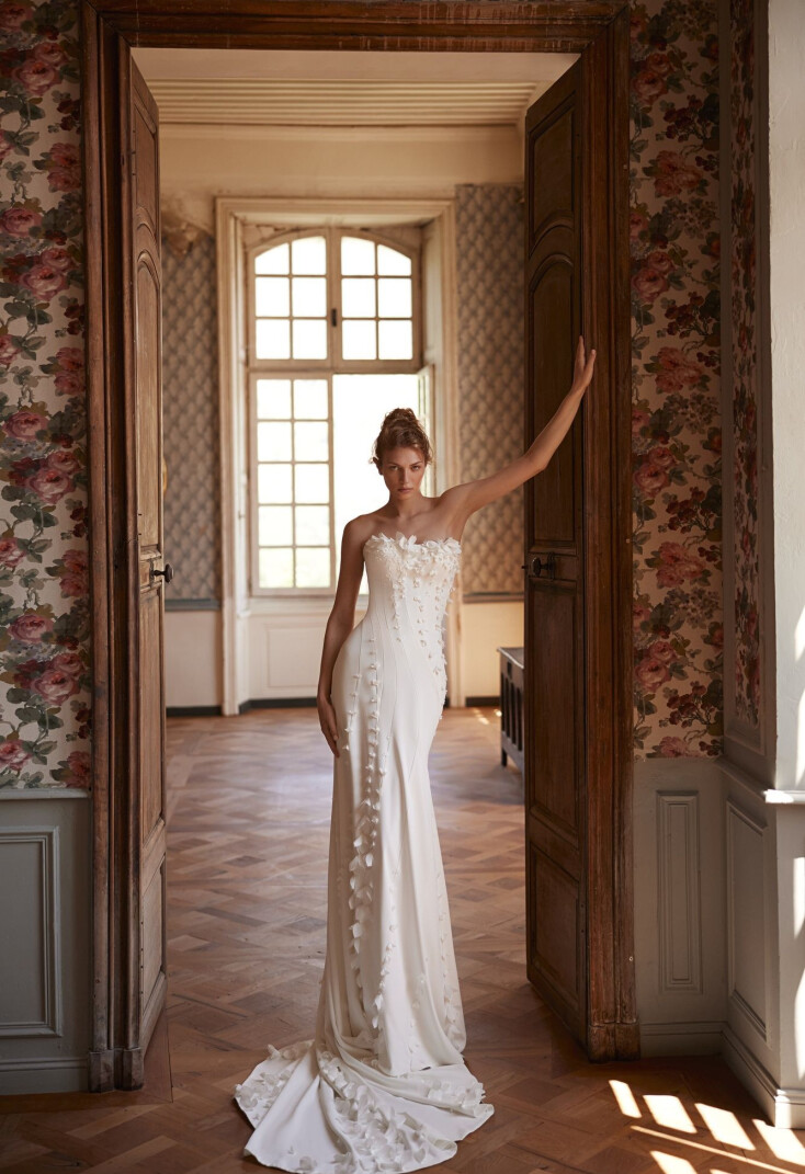 Imagen Mimosa ES 2321 - 1