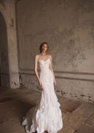 Imagen Celosia ES 2324 - 1