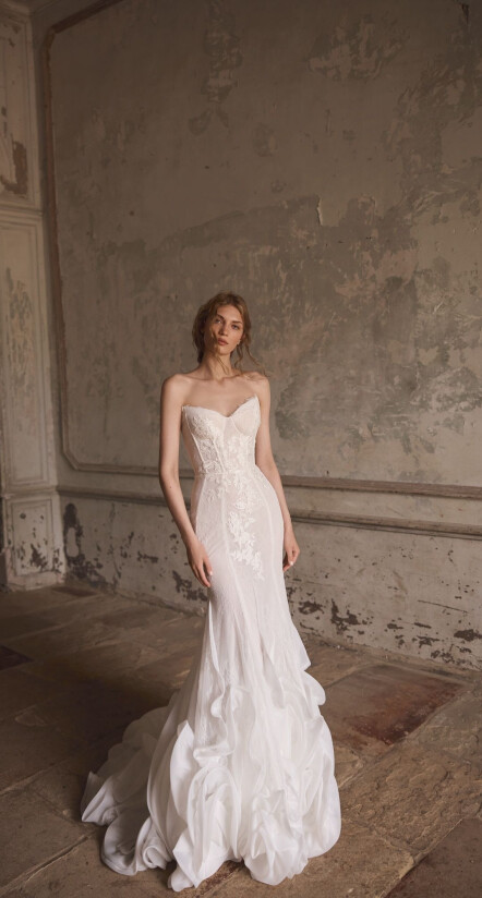 Bild Celosia DE 2324 - 1