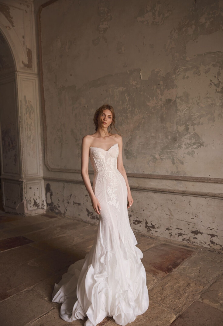 Imagen Celosia ES 2324 - 1