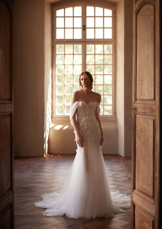 Imagen Nerine ES 2360 - 1