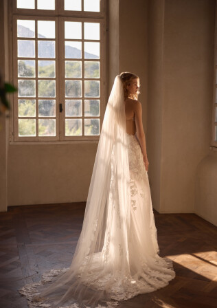 Picture Veil EN 2377 - 1