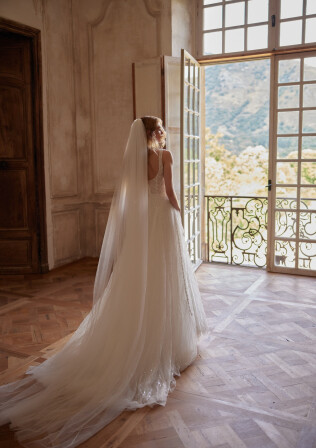 Picture Veil EN 2382 - 1