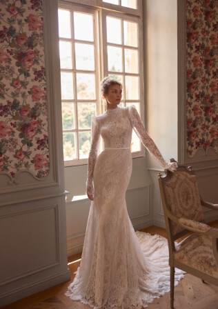 Imagen Anemona ES 2363 - 1