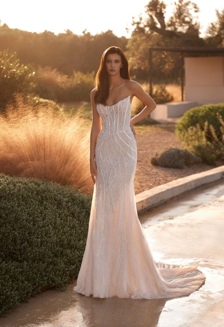 Picture Storm EN 2399 - 1