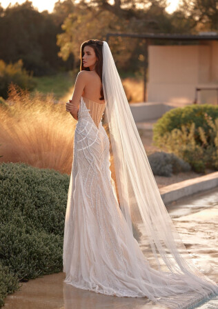 Picture Veil EN 2432 - 1