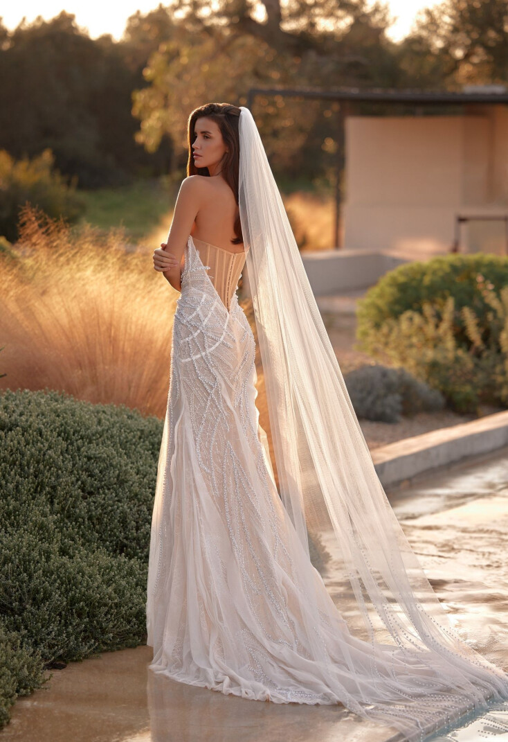 Picture Veil EN 2432 - 1