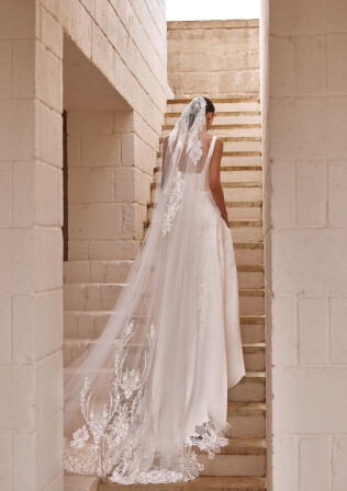 Picture Veil EN 2434 - 1