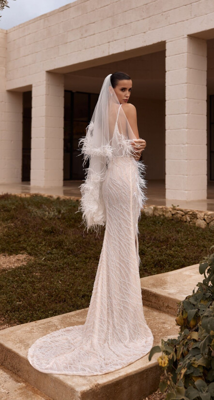 Picture Veil EN 2438 - 1