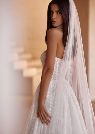 Picture Veil EN 2439 - 1