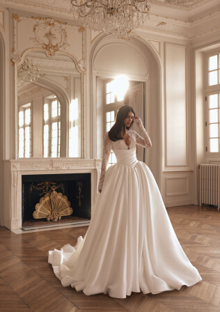 Picture Lucent EN 2459 - 1