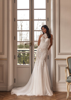 Bild Sylviane DE 2467 - 1