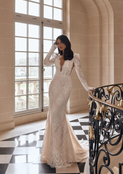 Bild Avienne DE 2491 - 1