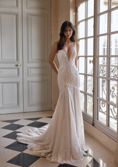 Bild Solaris DE 2493 - 1