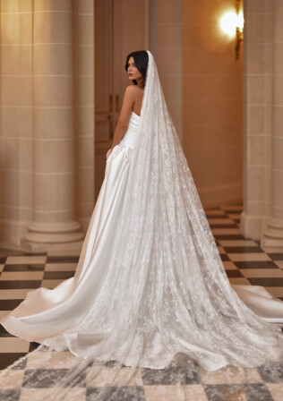 Fotografia Veil PL 2495 - 1