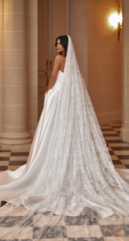 Image Veil FR 2495 - 1