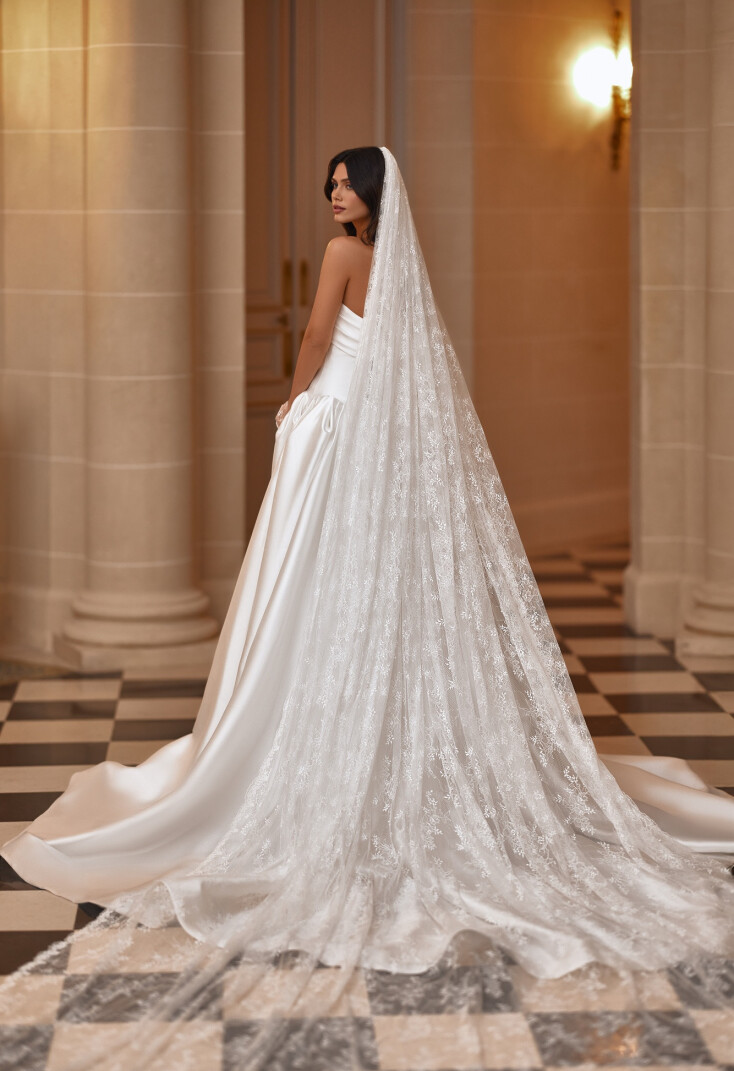 Image Veil FR 2495 - 1