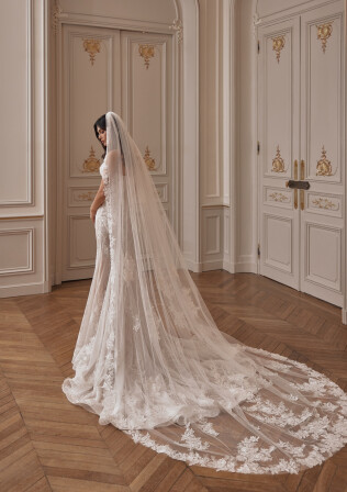 Fotografia Veil PL 2496 - 1