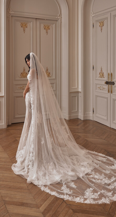 Image Veil FR 2496 - 1