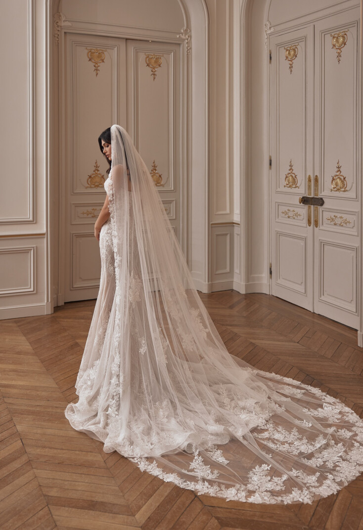 Image Veil FR 2496 - 1