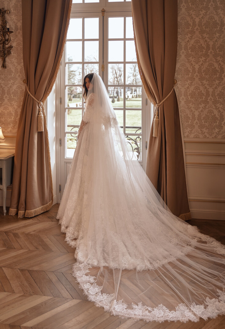 Image Veil FR 2498 - 1