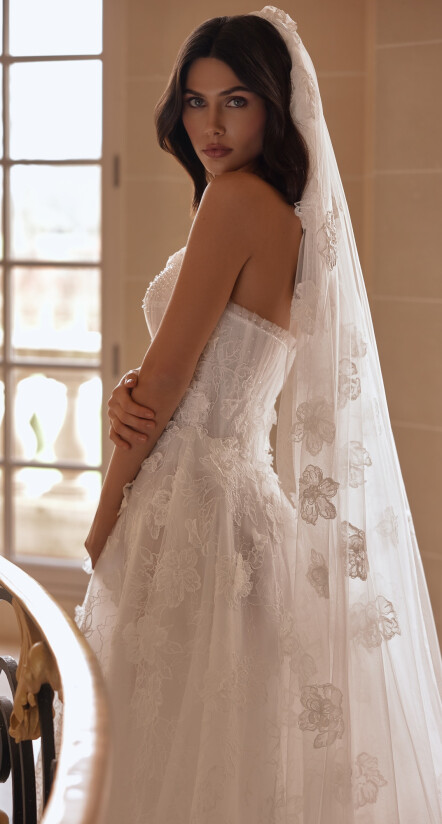 Image Veil FR 2499 - 1