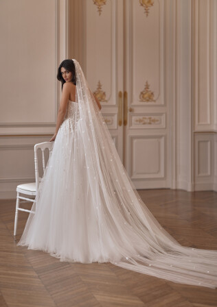 Fotografia Veil PL 2500 - 1