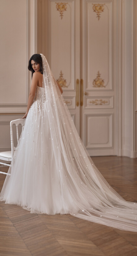 Image Veil FR 2500 - 1