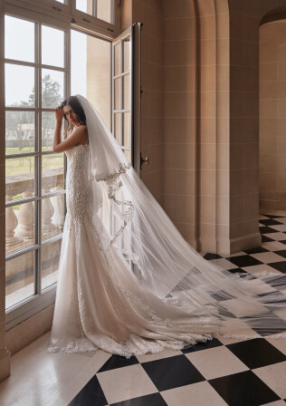 Fotografia Veil PL 2501 - 1