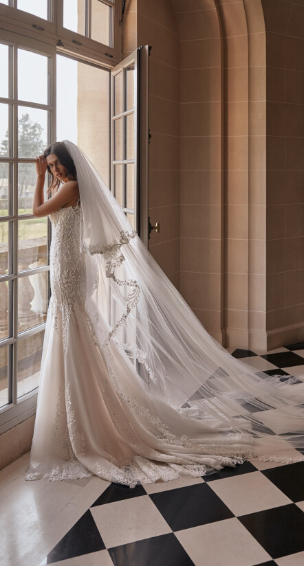 Image Veil FR 2501 - 1