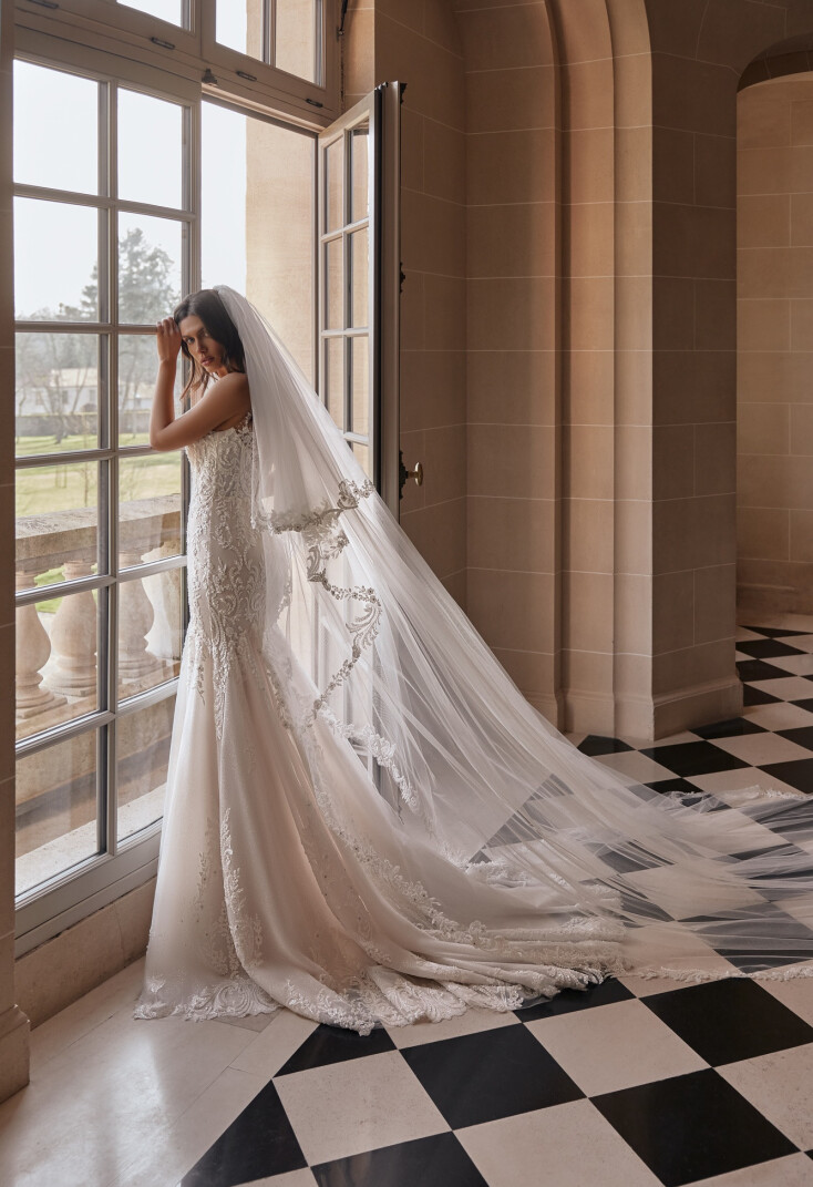 Fotografia Veil PL 2501 - 1