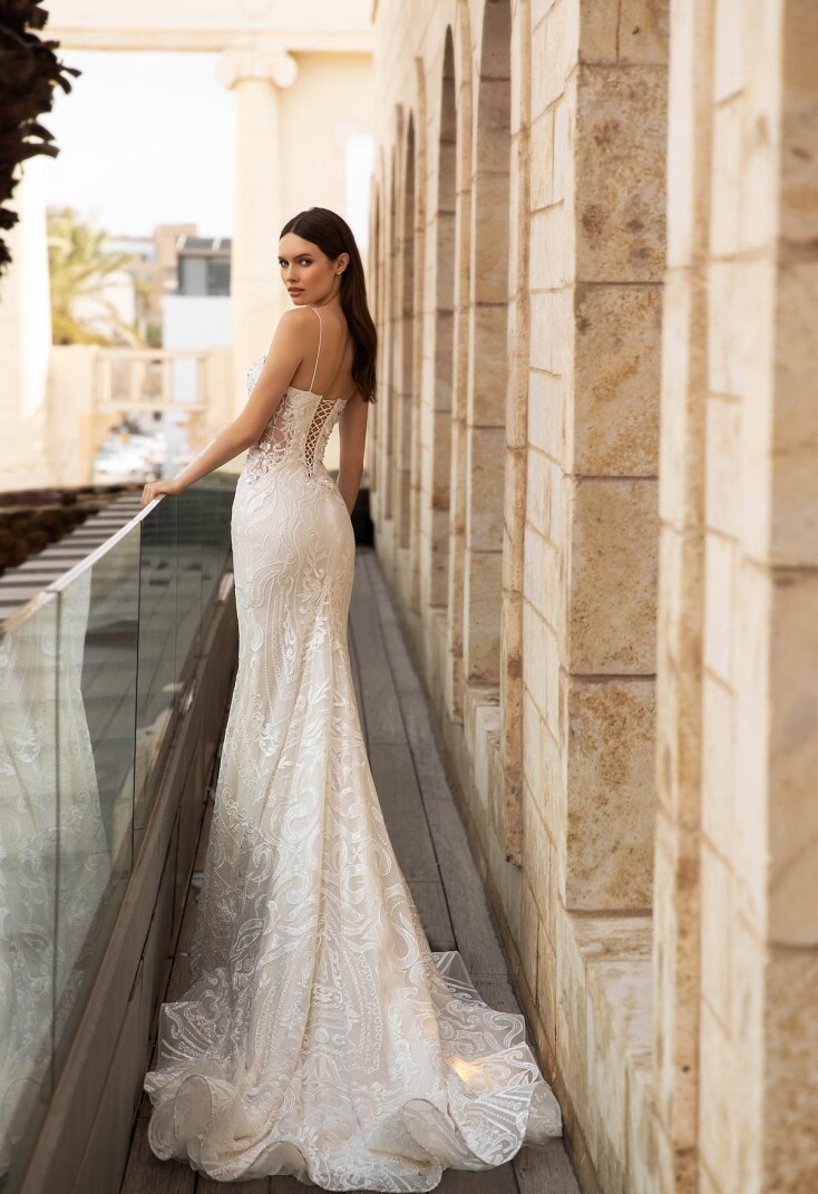 Picture Fascination EN 51 - 2