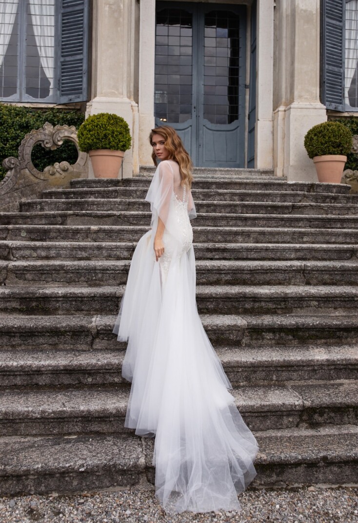 Bild Dalia DE 131 - 2