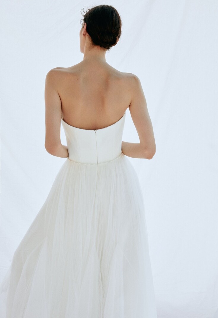 Imagen Scallop ES 153 - 2