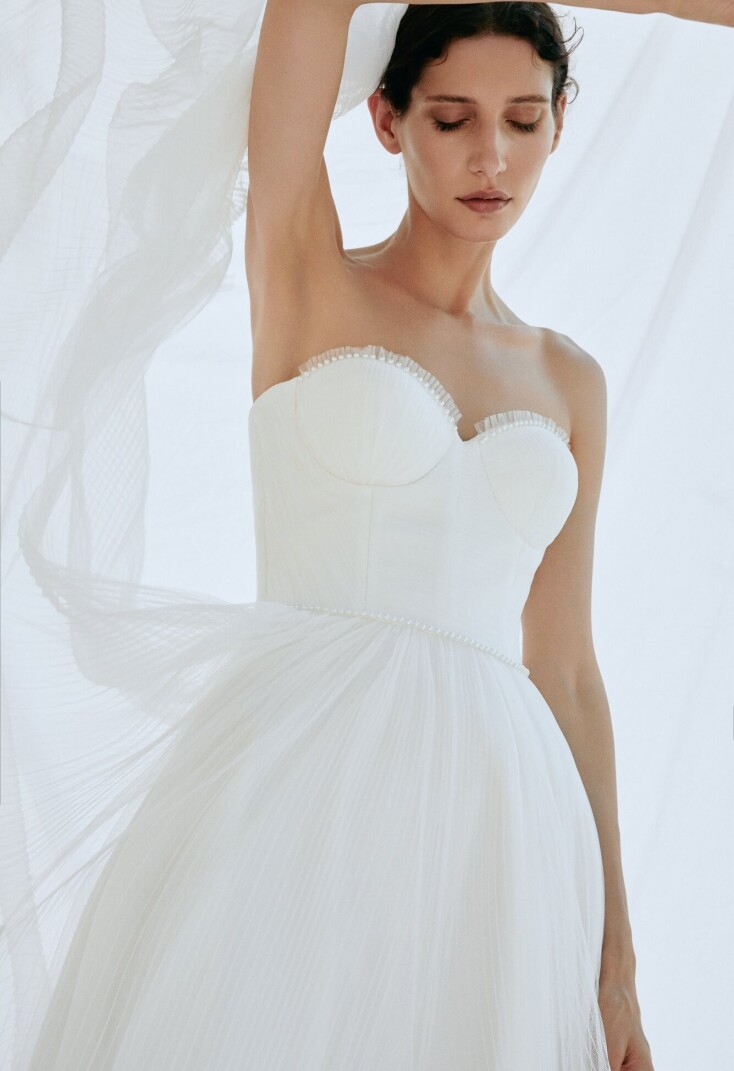 Imagen Scallop ES 153 - 3