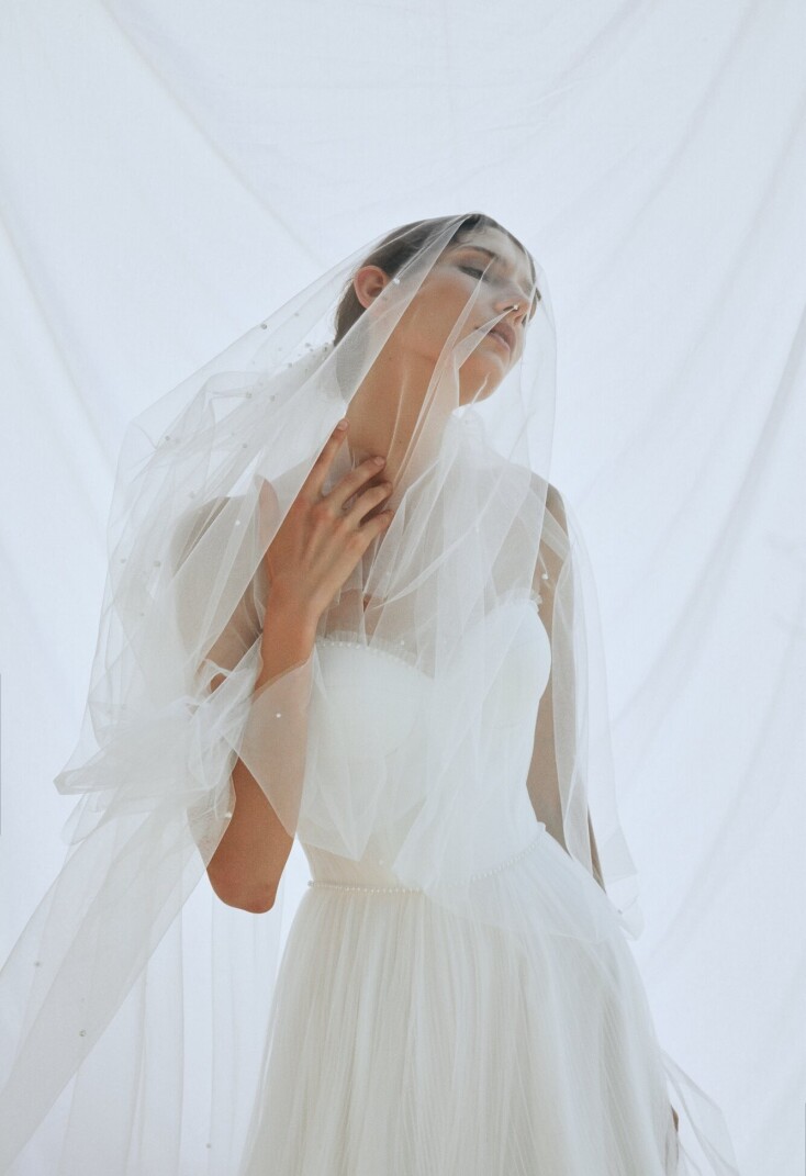 Imagen Scallop ES 153 - 4