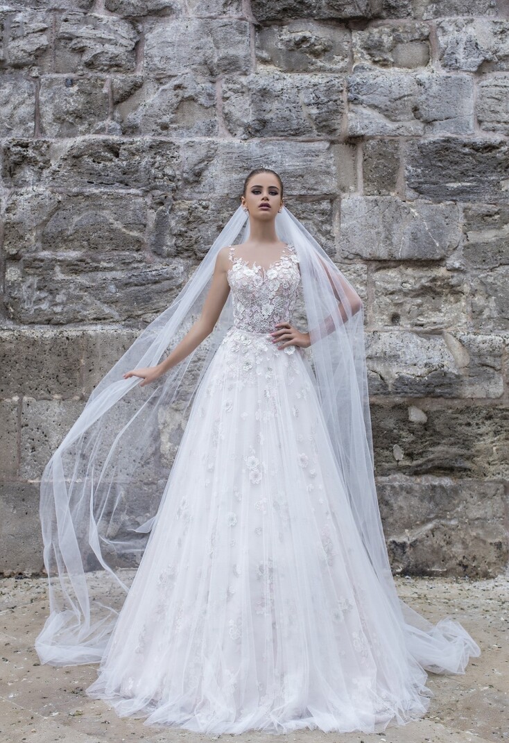 Bild Mercy DE 232 - 3