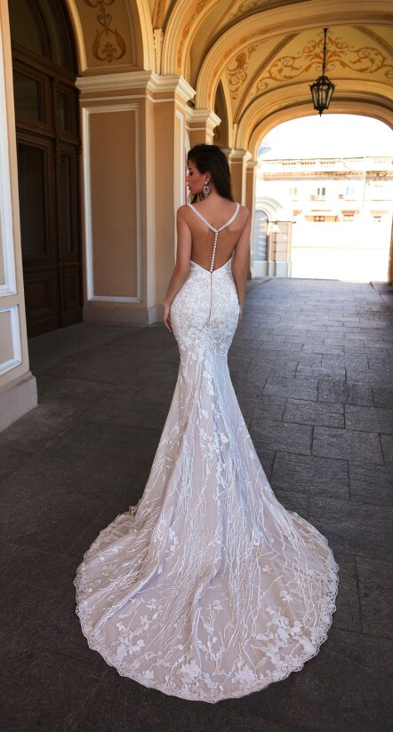 Immagine Chicoreus Chicoreum IT 265 - 2