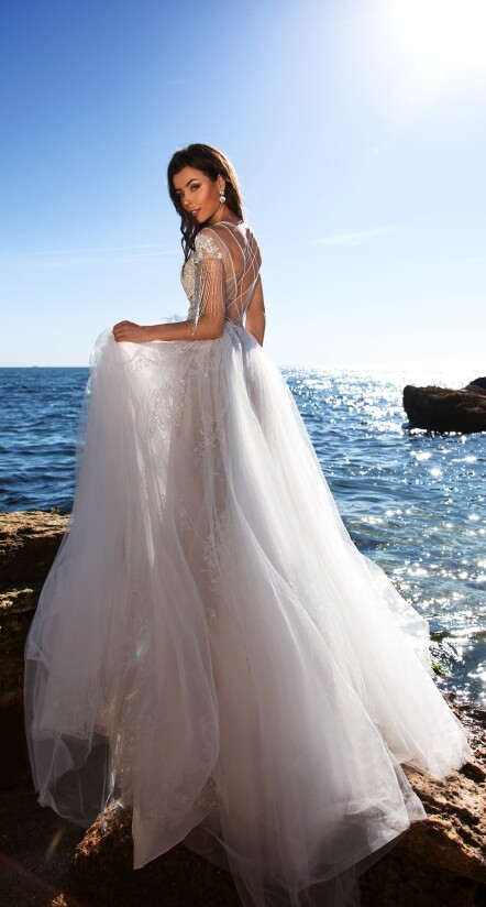 Immagine Strombus Latissimus IT 266 - 2