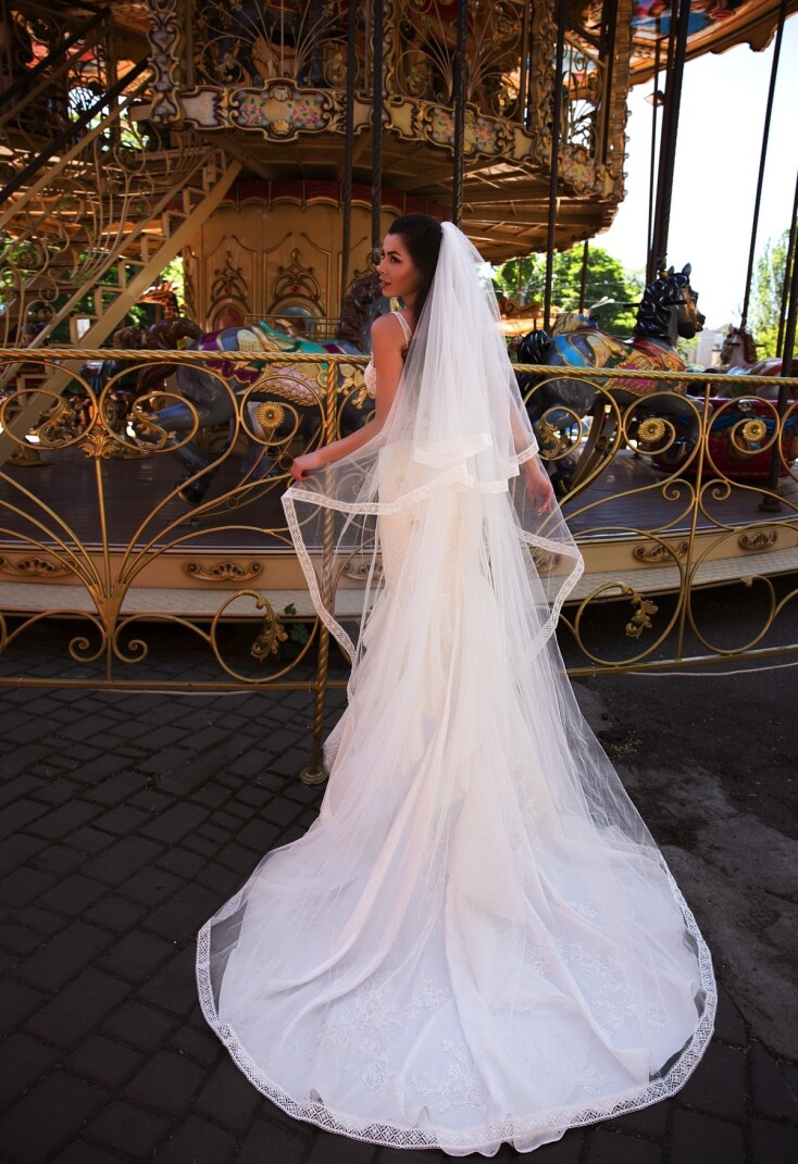 Bild Tibia Martini DE 267 - 4