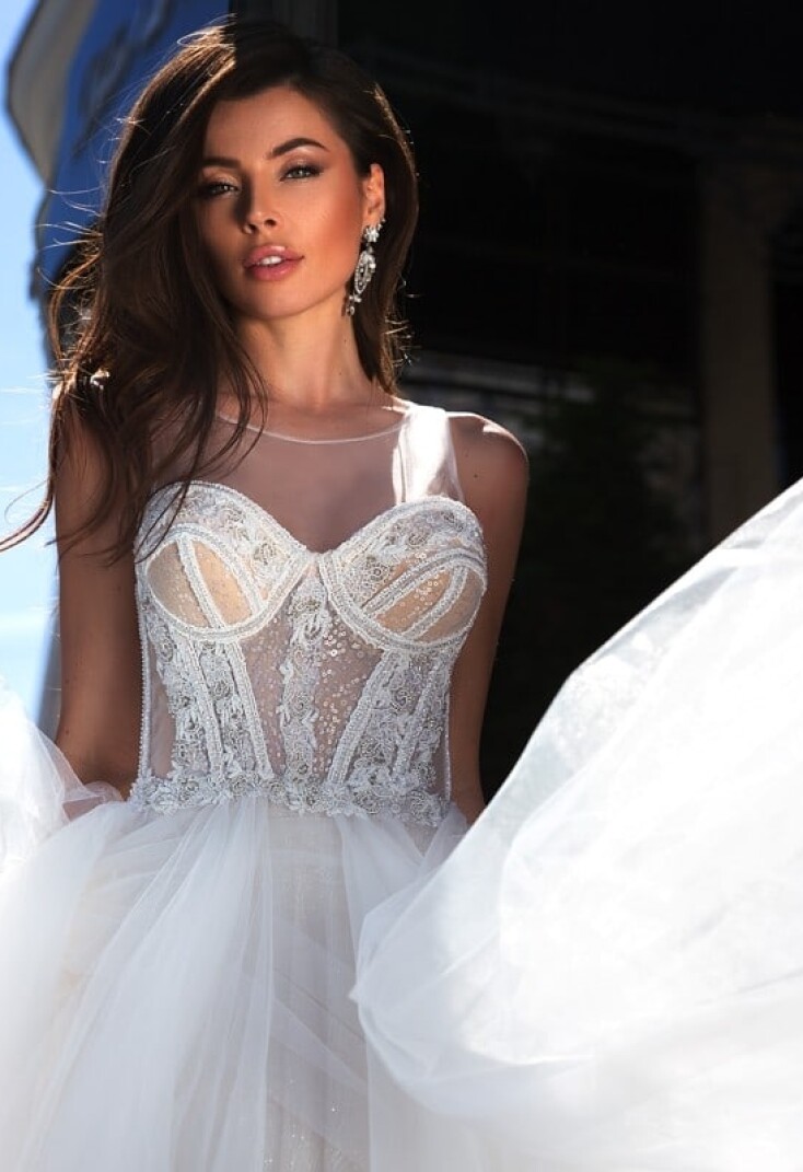 Immagine Haliotis Ovina IT 271 - 3