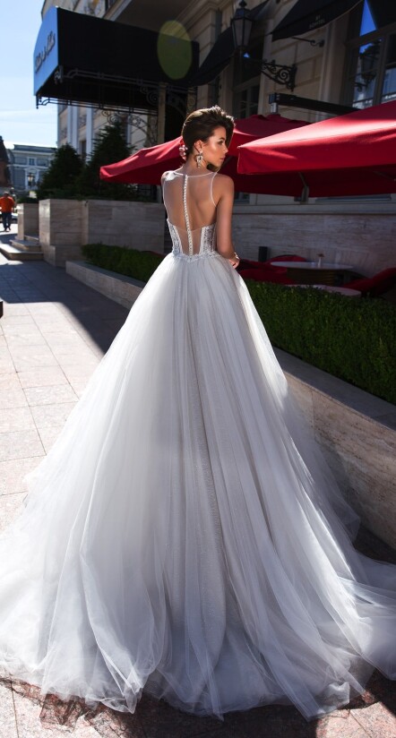 Immagine Haliotis Ovina IT 271 - 2