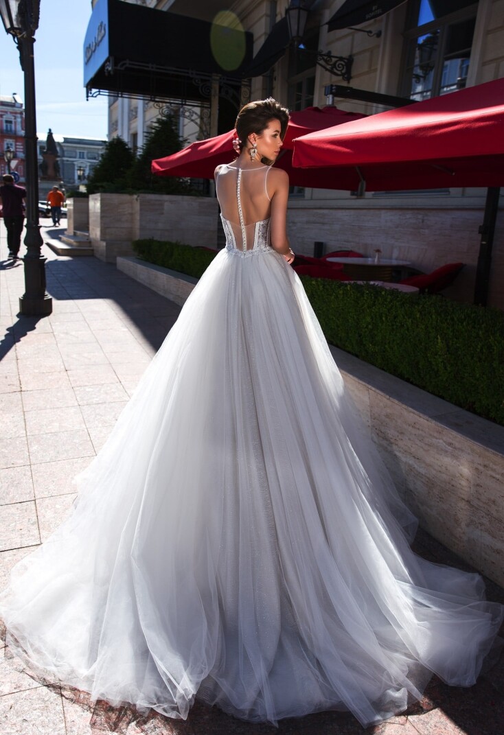 Immagine Haliotis Ovina IT 271 - 2